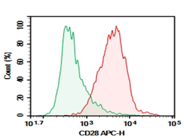 Purified Anti-Mouse CD28 Antibody[PV-1] (AN008320P)