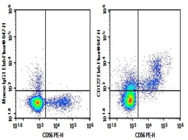 Purified Anti-Human CD122 Antibody[TU27] (E-AB-F11510P)