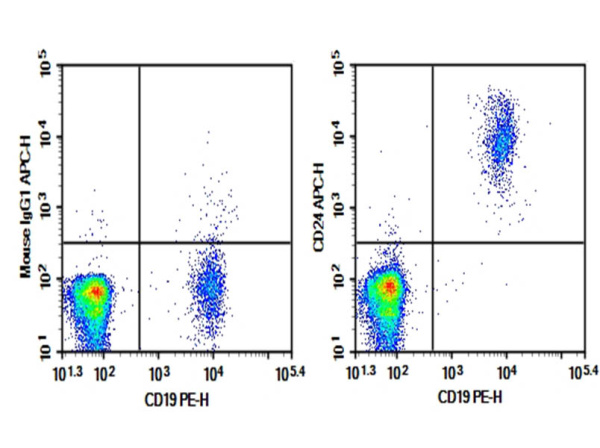Purified Anti-Human CD24 Antibody[HIQB24] (AN008290P)