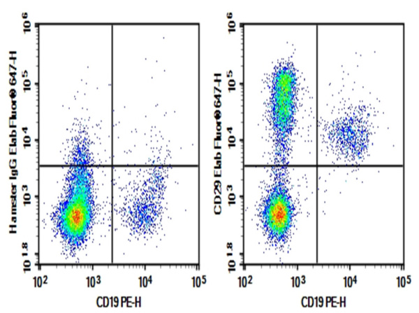 Purified Anti-Mouse/Rat CD29 Antibody[HMβ1-1] (E-AB-F1309A)
