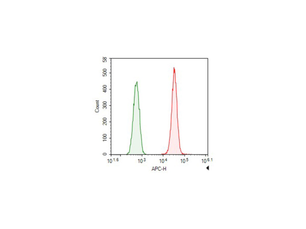 Elab Fluor® 647-conjugated alpha Tubulin Monoclonal Antibody (AN00294M)