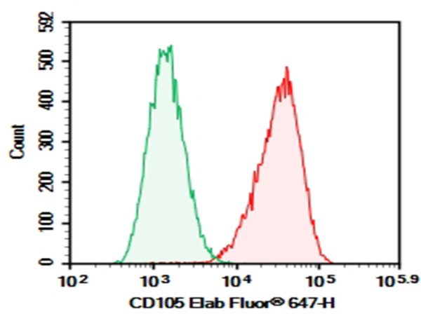 Purified Anti-Human CD105 Antibody[SN6] (E-AB-F13100P)