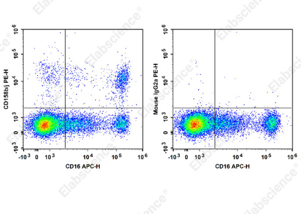 PE Anti-Human CD158b/j Antibody[DX27] (E-AB-F1381D)