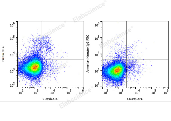 FITC Anti-Mouse FcεRIα Antibody[MAR-1] (E-AB-F1188UC)
