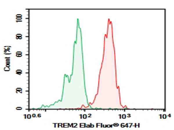 Purified Anti-Human TREM2 Antibody[DA008] (AN007920P)