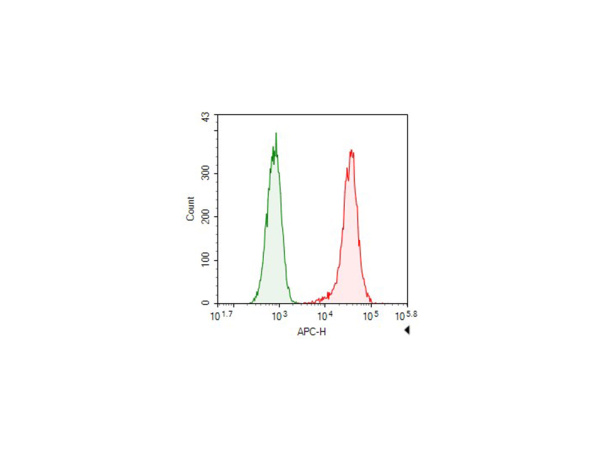 Elab Fluor® 647-conjugated beta Tubulin Monoclonal Antibody (AN00293M)