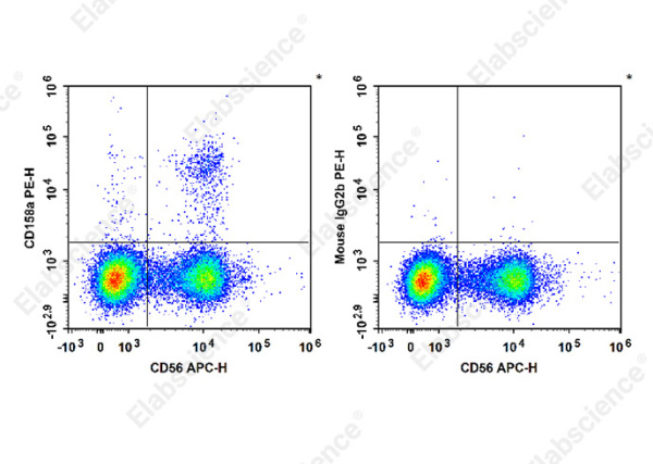PE Anti-Human CD158/KIR2DL1 Antibody[HP-MA4] (E-AB-F1391D)