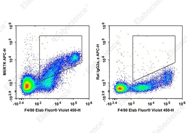 APC Anti-Mouse MERTK Antibody[2B10C42] (AN00871E)