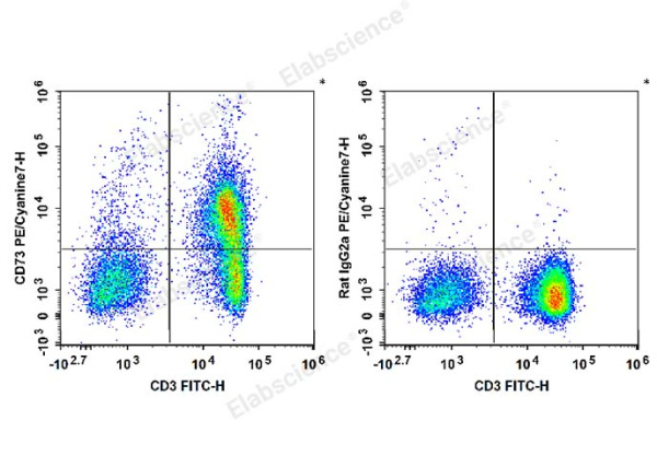 PE/Cyanine7 Anti-Mouse CD73 Antibody[TY/23] (E-AB-F1089UH)