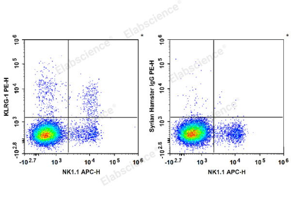 PE Anti-Human/Mouse KLRG-1 Antibody[2F1] (E-AB-F1273UD)