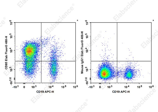 Elab Fluor® 488 Anti-Human CD95/Fas Antibody[DX2] (E-AB-F1168L)
