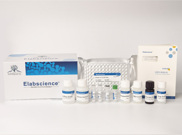 Mouse NOS3/eNOS(Nitric Oxide Synthase 3, Endothelial) ELISA Kit (E-EL-M0456)