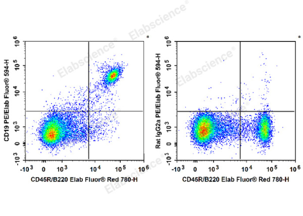 PE/Elab Fluor® 594 Anti-Mouse CD19 Antibody[1D3] (E-AB-F0986UP)