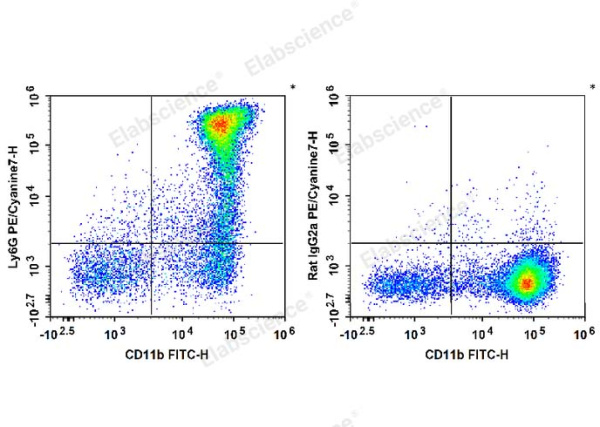 PE/Cyanine7 Anti-Mouse Ly6G Antibody[1A8] (E-AB-F1108H)