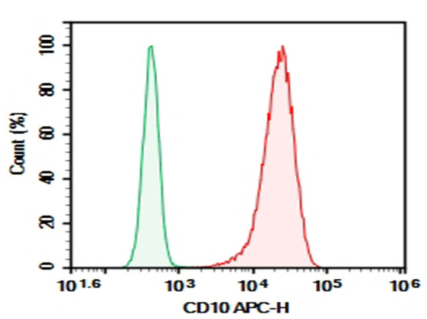 Purified Anti-Human CD10 Antibody[CB-CALLA] (E-AB-F1078A)