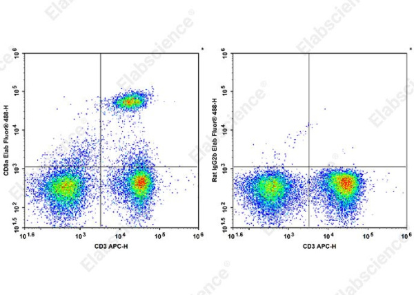 Elab Fluor® 488 Anti-Mouse CD8a Antibody[YTS 105.18] (AN00331L)