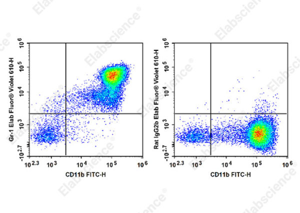 Elab Fluor® Violet 610 Anti-Mouse Ly-6G/Ly-6C Antibody[RB6-8C5] (E-AB-F1120T)
