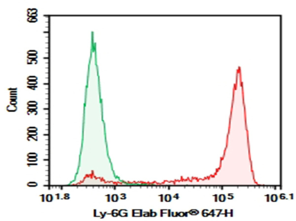 Purified Anti-Mouse Ly6G Antibody[1A8] (E-AB-F1108A)