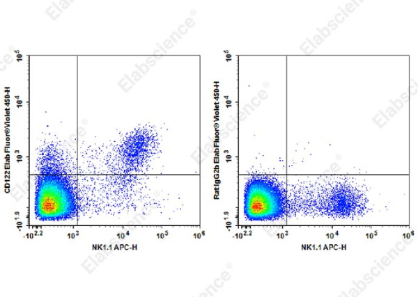 Elab Fluor® Violet 450 Anti-Mouse CD122 Antibody[TM-Beta 1] (AN00418Q)