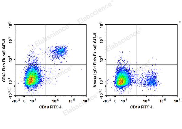 Biotin Anti-Human CD40 Antibody[G28.5] (E-AB-F1214B)