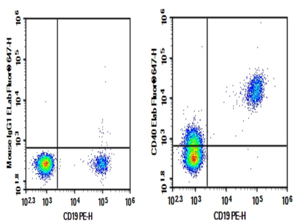 AF/LE Purified Anti-Human CD40 Antibody[G28.5] (E-AB-F12140)