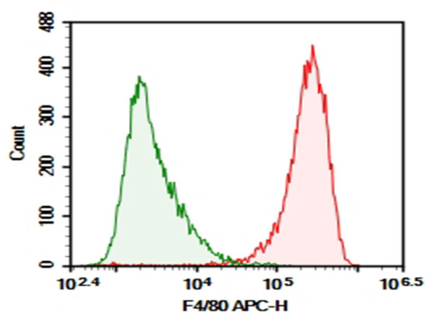 AF/LE Purified Anti-Mouse F4/80 Antibody[BM8] (AN009650)