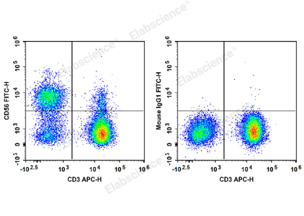 FITC Anti-Human CD56/NCAM Antibody[MY31] (E-AB-F1270C)