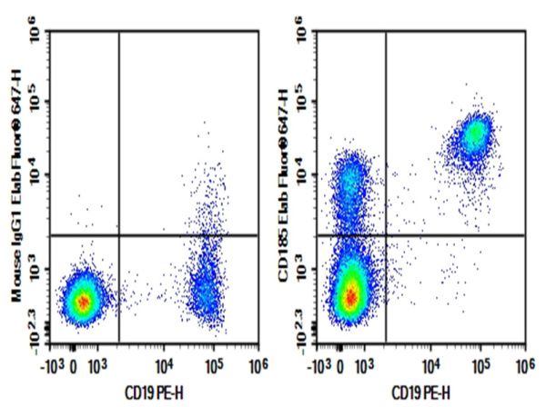 Purified Anti-Human CD185 Antibody[J252D4] (E-AB-F12870P)