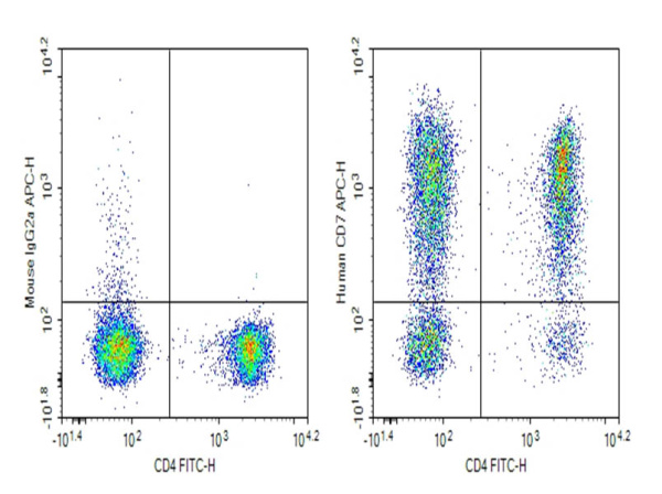 Purified Anti-Human CD7 Antibody[HIT7] (E-AB-F1315A)