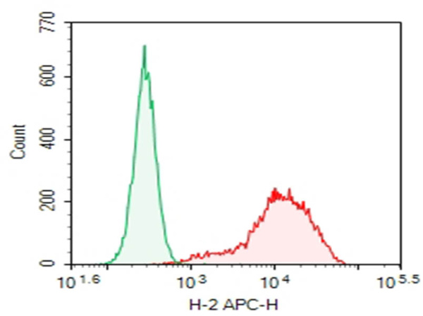 Purified Anti-Mouse H-2 Antibody[M1/42] (E-AB-F1216A)