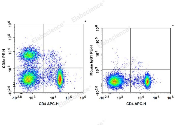 PE Anti-Rat CD8a Antibody[OX-8] (E-AB-F1098D)
