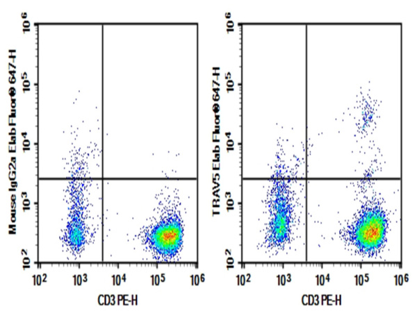Purified Anti-Human TRAV5 Antibody[MH3-2] (AN003690P)