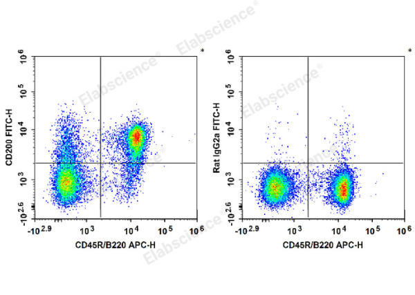 FITC Anti-Mouse CD200/OX2 Antibody[OX-90] (E-AB-F1234C)