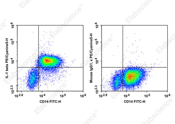 PE/Cyanine5 Anti-Human IL-1 beta Antibody[CRM56] (AN00842G)