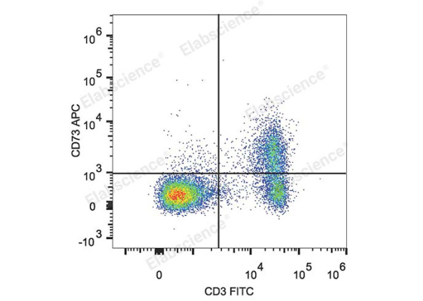 APC Anti-Mouse CD73 Antibody[TY/23] (E-AB-F1089E)