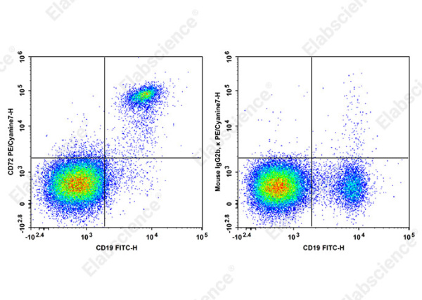 PE/Cyanine7 Anti-Human CD72 Antibody[3F3] (AN00325H)