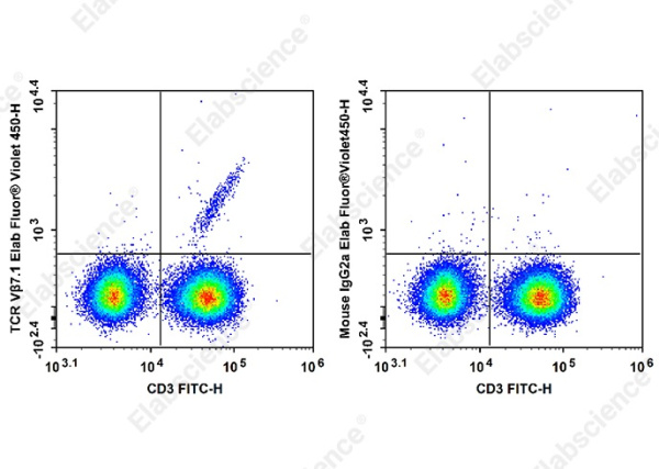 Elab Fluor®Violet 450 Anti-Human TCR Vβ7.1 Antibody[ZOE5.1] (AN00370Q)