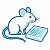 Mouse ELISA Kits