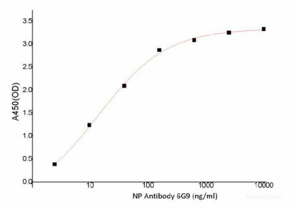 SARS-COV-2 NP Monoclonal Antibody(2019-nCoV) (E-AB-V1011)