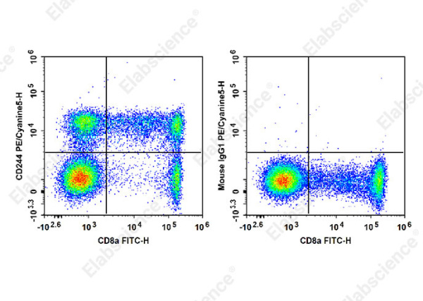 PE/Cyanine5 Anti-Human CD244 Antibody[C1.7] (E-AB-F1374G)