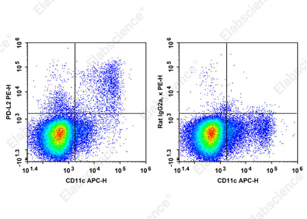PE Anti-Mouse PD-L2 Antibody[TY25] (AN00849D)