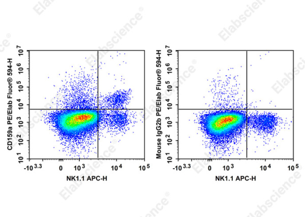 PE/Elab Fluor® 594 Anti-Mouse CD159a Antibody[16A11] (AN00658P)