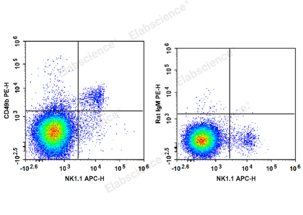 PE Anti-Mouse CD49b/pan-NK cells Antibody[DX5] (E-AB-F1116D)