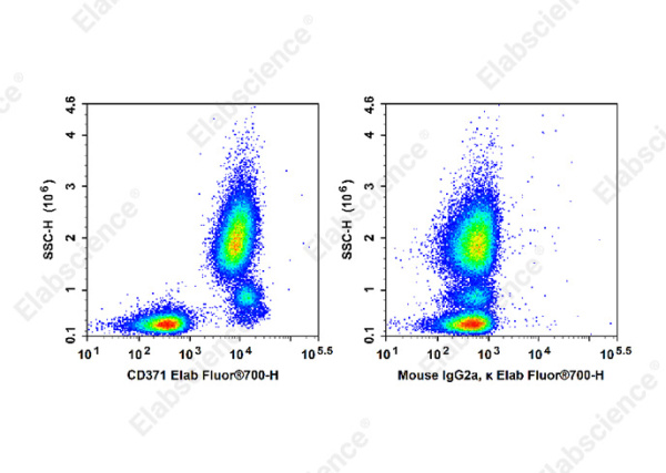 Elab Fluor® 700 Anti-Human CD371 Antibody[50C1] (AN00320M1)