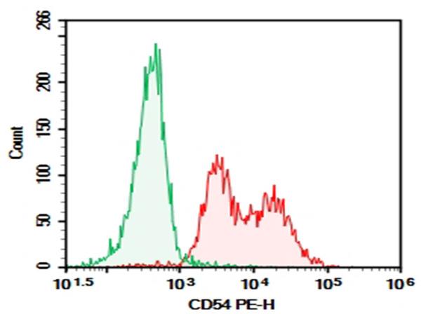 Purified Anti-Human CD54 Antibody[RR1/1] (AN003500P)