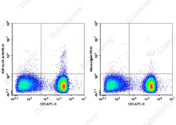 PE Anti-Human TCR Vα24-Jα18 Antibody[6B11] (AN00568D)