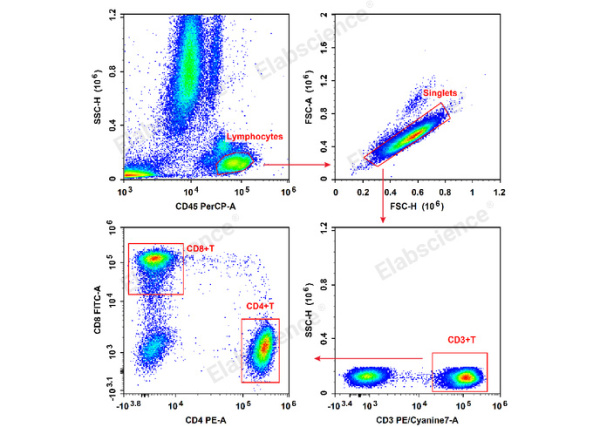 Anti-Human CD8a-FITC/CD4-PE/CD3-PE/Cyanine7/CD45-PerCP Cocktail (E-AB-FC0010)
