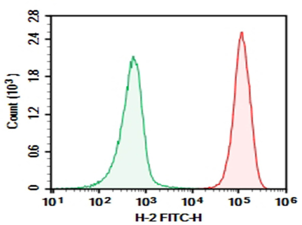 AF/LE Purified Anti-Mouse H-2 Antibody[M1/42] (E-AB-F12160)