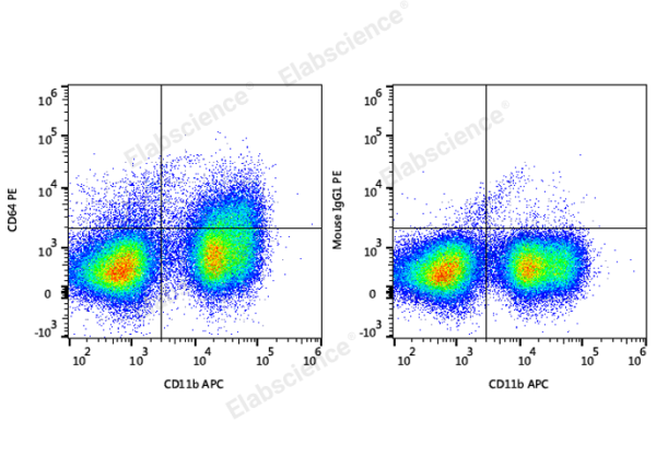 PE Anti-Mouse CD64/FcγRI Antibody[X54-5/7.1] (E-AB-F1186D)