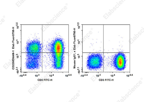 Elab Fluor® 700 Anti-Human CD226/DNAM-1 Antibody[11A8] (E-AB-F1369M1)